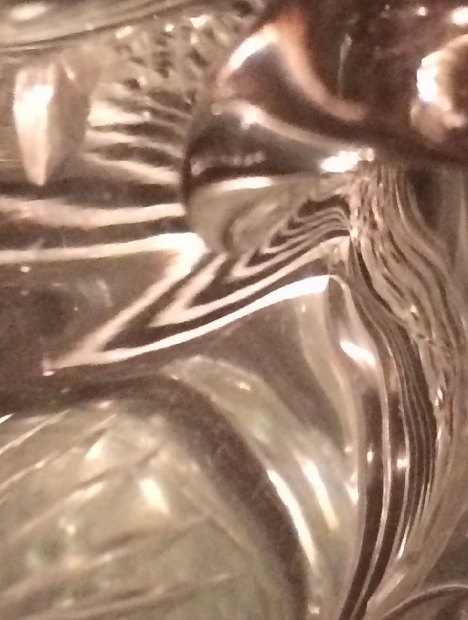 Ein prachtvoller Vogel