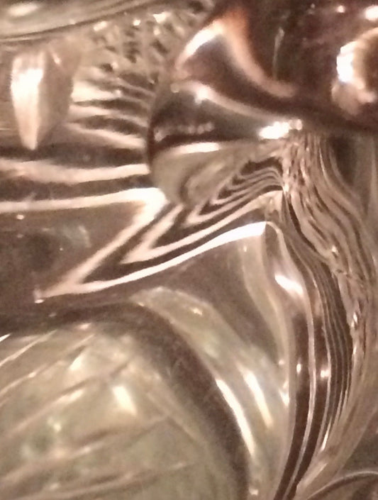 Ein prachtvoller Vogel